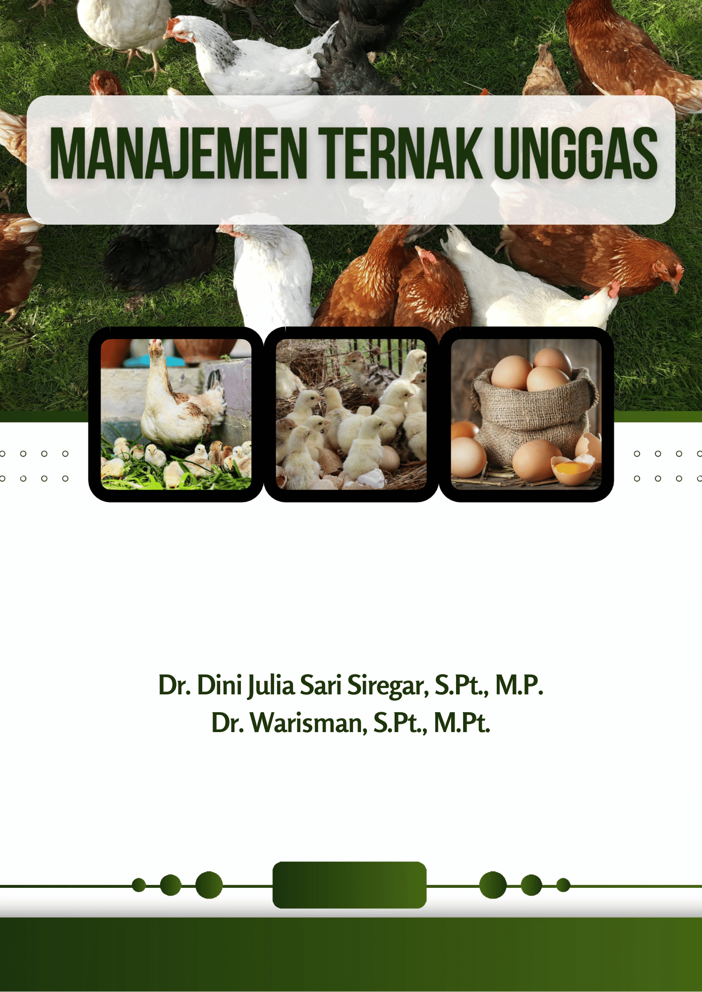 Manajemen Ternak Unggas